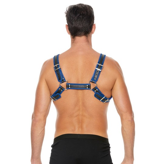 LEATHER BULLDOG HARNESS WITH BUCKLES - S/M