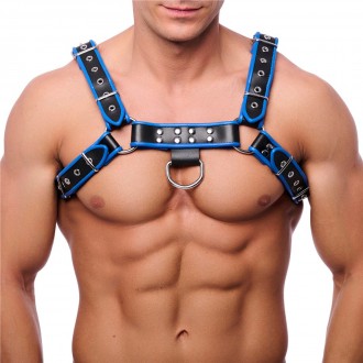 PREMIUM LEATHER HARNESS - BLACK/BLUE