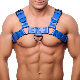 BULLDOG LEATHER HARNESS - BLUE
