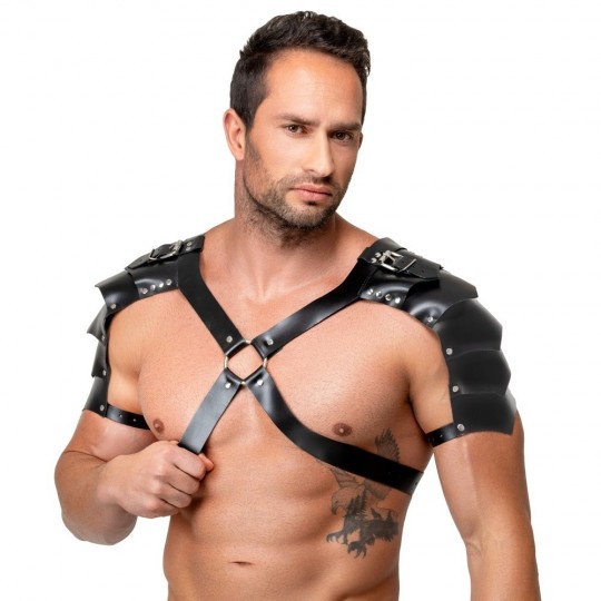 LEATHER HARNESS