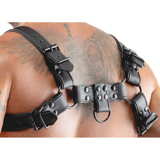CHEST HARNESS