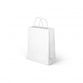 PAPER BAG WITH HANDLES WHITE MEDIUM