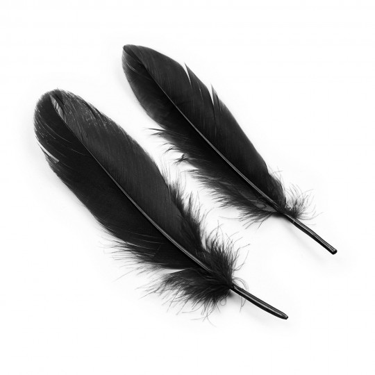KIT DE ESCLAVITUD LOVER&#039;S DREAM CRUSHIOUS NEGRO