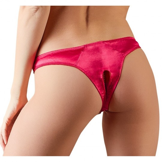 BRIEFS
