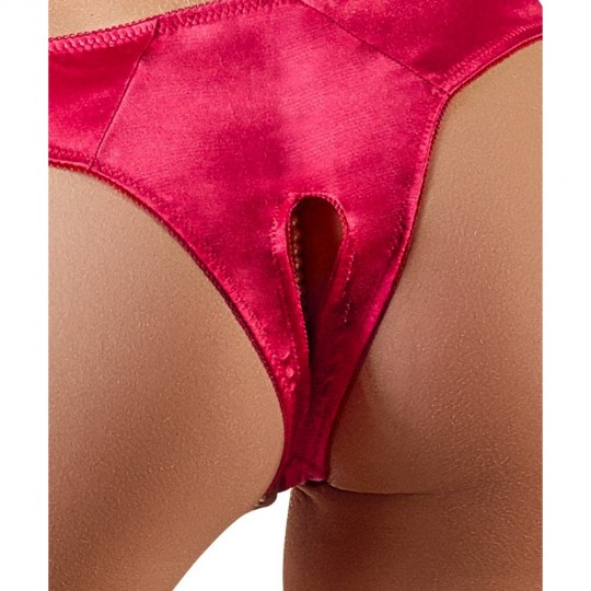 BRIEFS