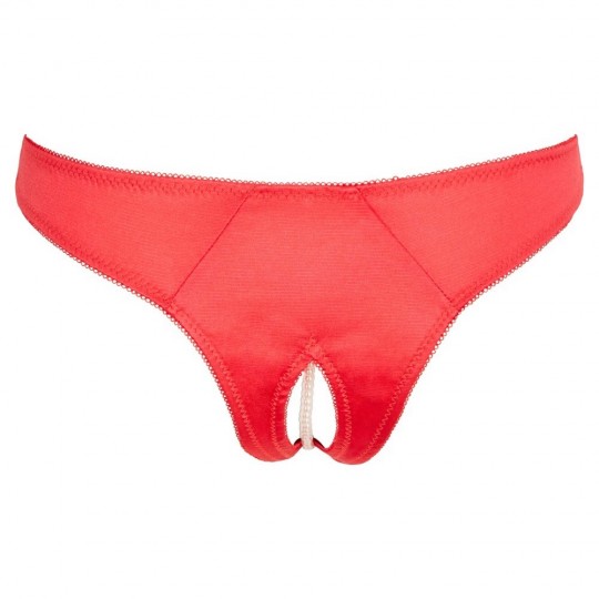 BRIEFS