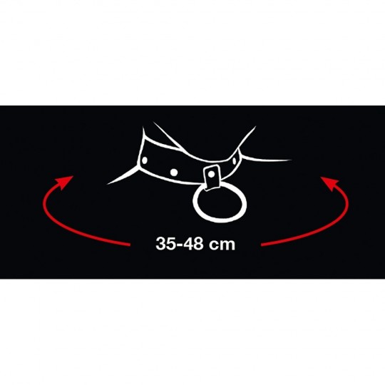 ОШЕЙНИК И ПОВОДОК