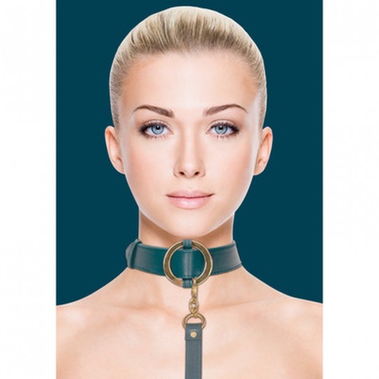 РОСКОШНЫЙ ОШЕЙНИК С ПОВОДКОМ